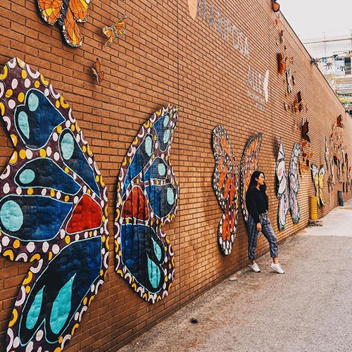 Aerial view of Downtown Riverside that shows historic buildings, tall palm trees and car-lined street.