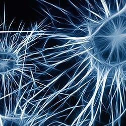 Neuroscience & Mental Health image