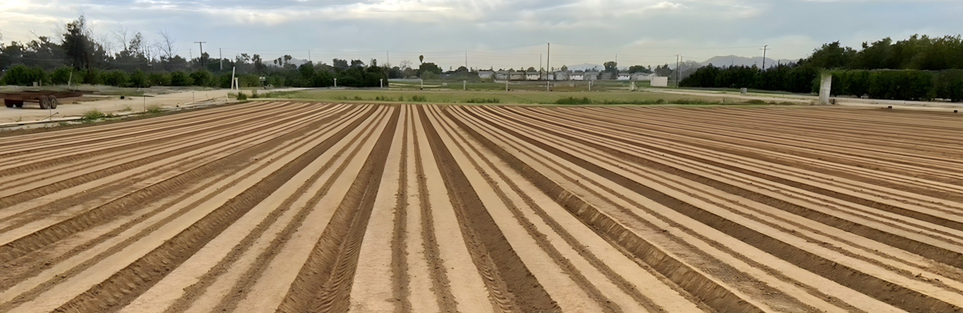 UCR Agricultural Operations Field
