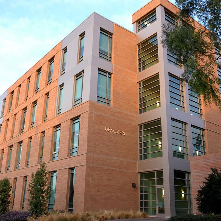 College of Natural and Agricultural Sciences