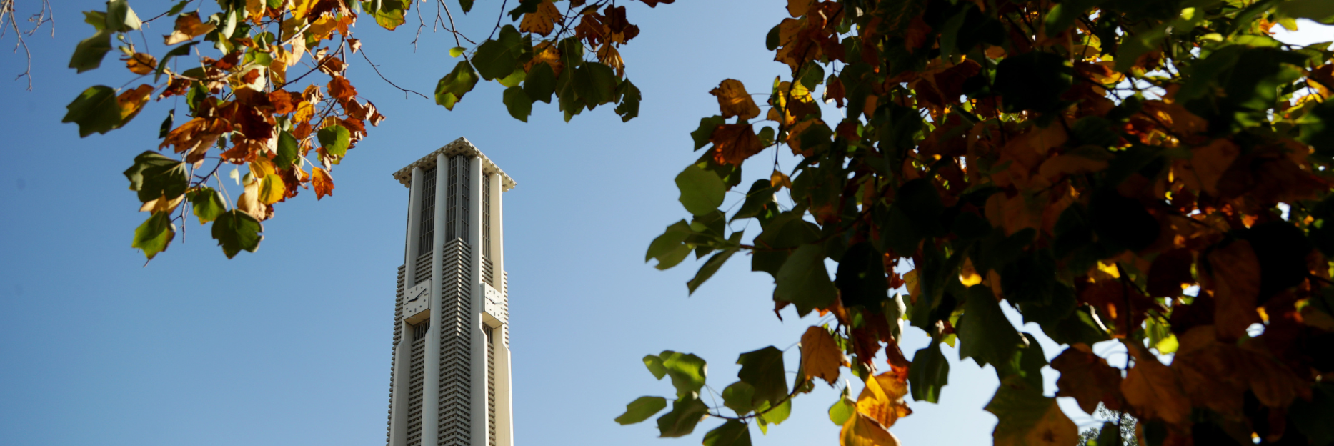 UCR Bell tower in Fall
