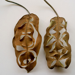 Ahram_Park_Thumbnail