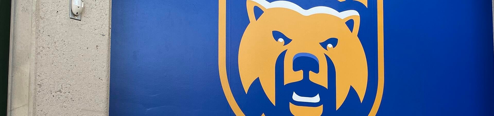 Bookstore spirit wall