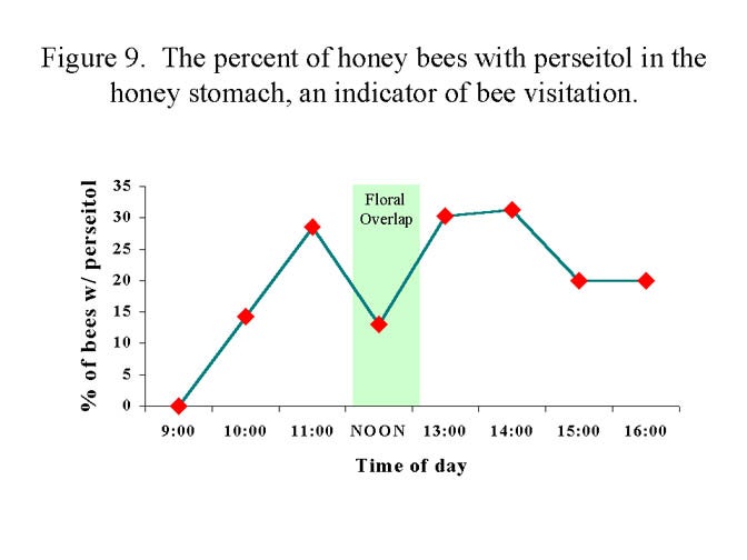 Figure 9 - Avocado Flowering Basics