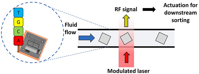 DNA Manufacturing