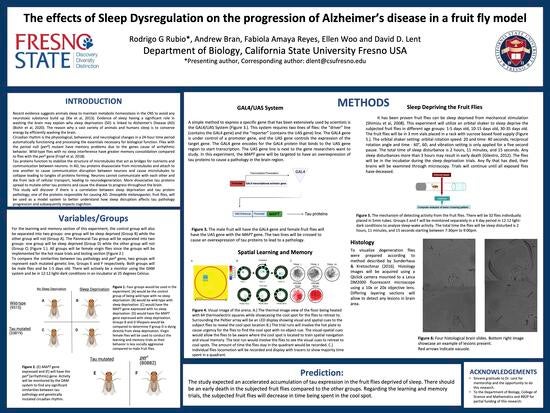 Rodrigo Rubio's Research