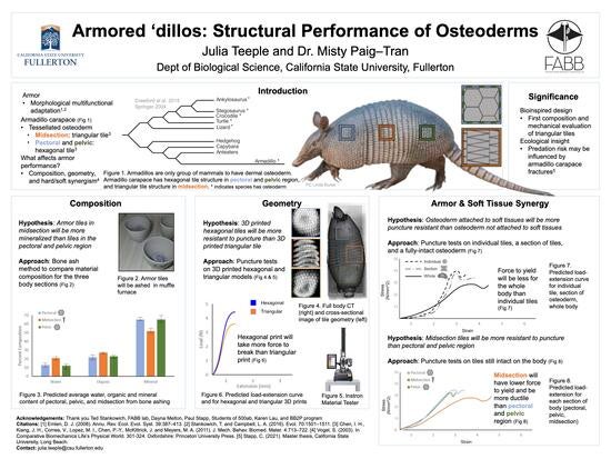 Julia Teeple's Research