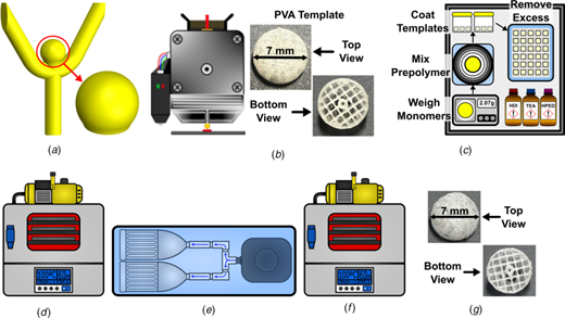 in-vitro.png
