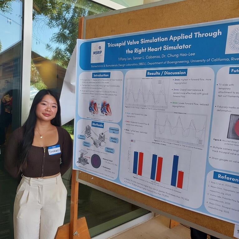 figure_tiffany_poster_3