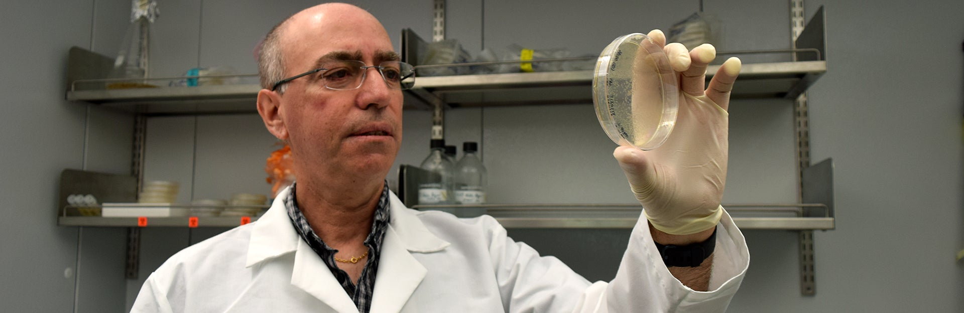 Ernest Martinez lab plate (c) UCR/CNAS