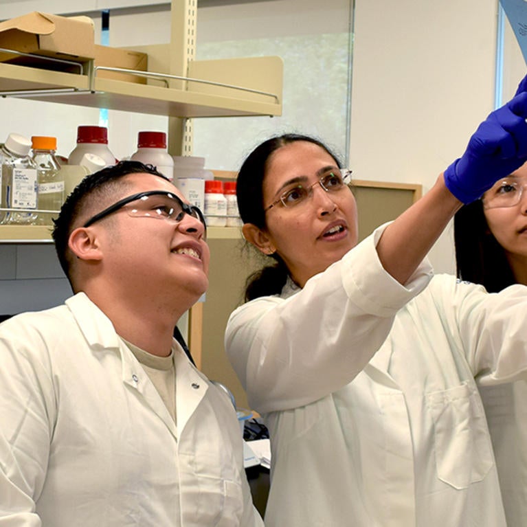 Cheloufi Lab (c) UCR/CNAS