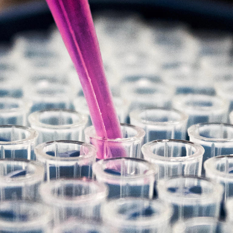 test tubes (c) Louis Reed unsplash