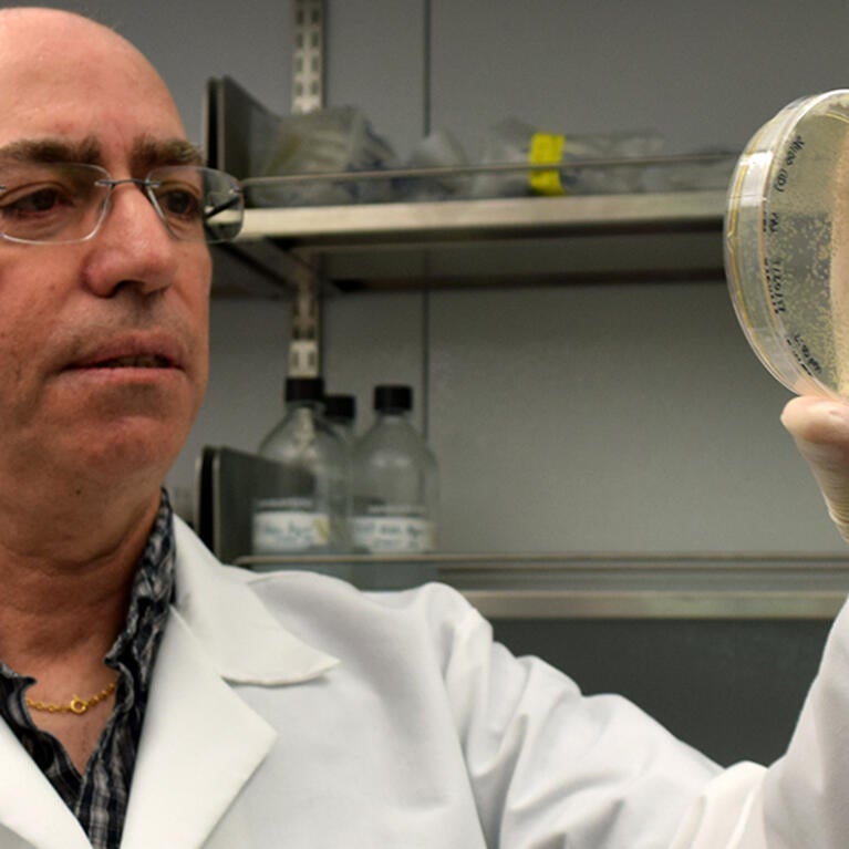 Ernest Martinez lab plate (c) UCR/CNAS