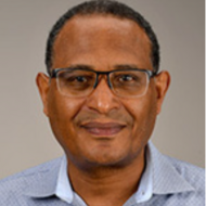 Alemayehu (Alex) Gorfe