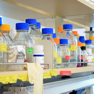 Lab Bottles