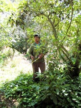 Jesus R. Lara Artiga