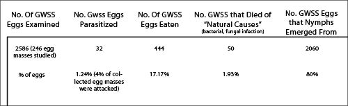 table_1_gwss_eggs_small.jpg