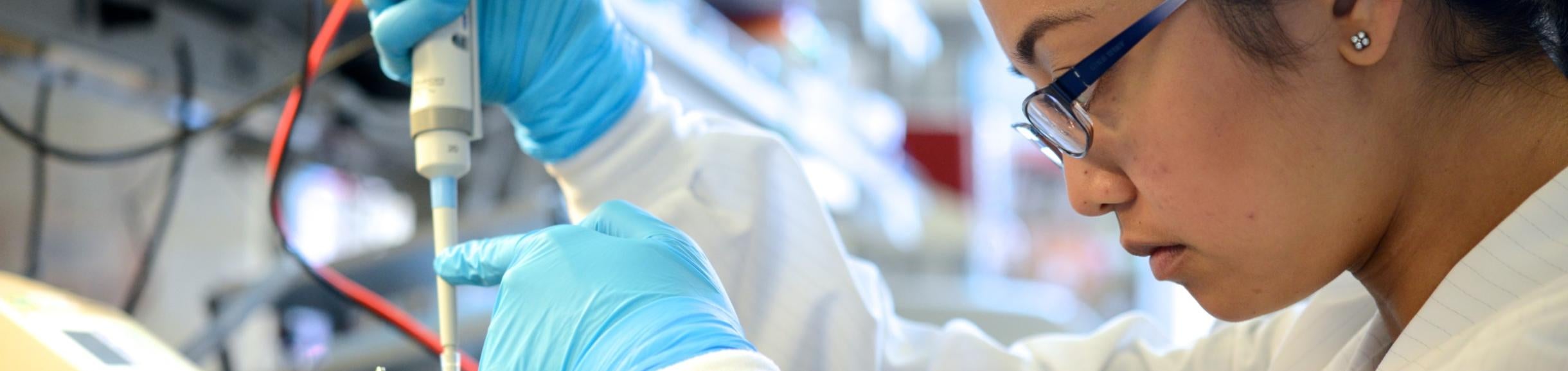 working on the bench-pipetting