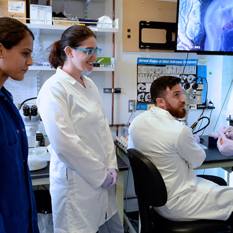 students working in lab with Prof. Garcia Castro