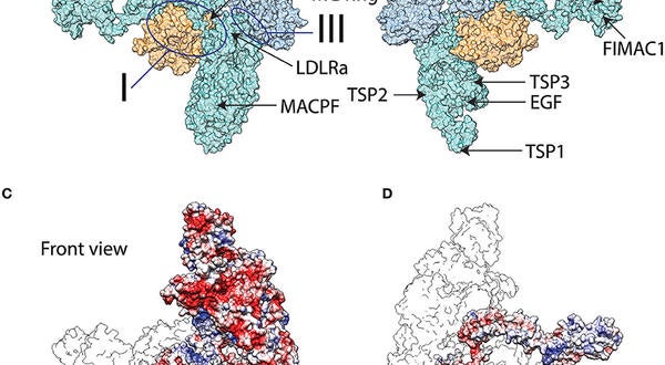graphical abstract image