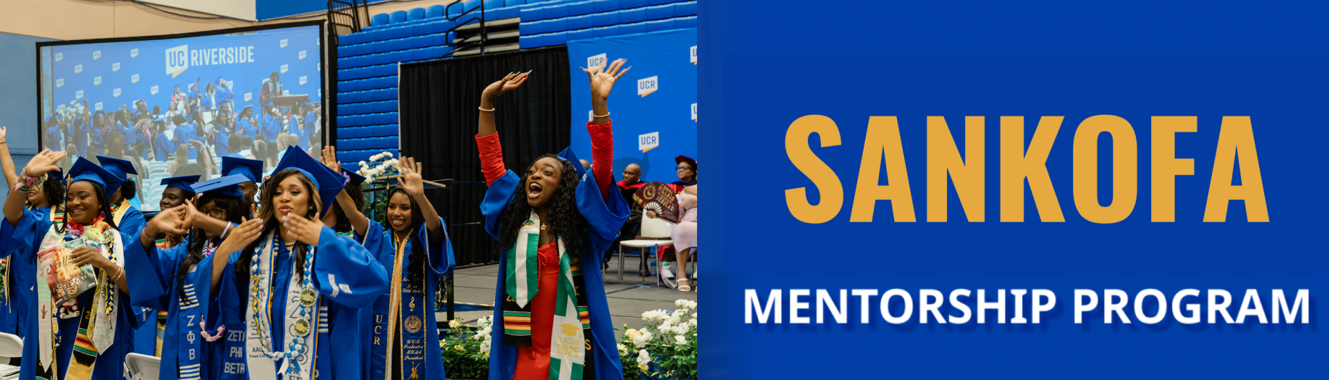 Sankofa banner v3