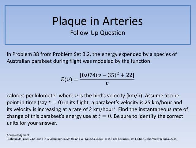 Plaque in Arteries FUQ 640
