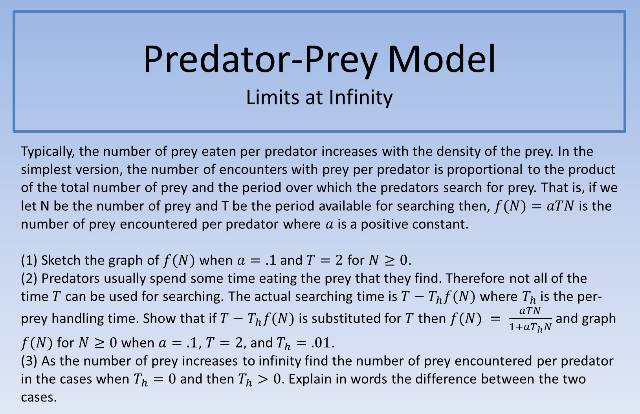 Predator-Prey Model 640