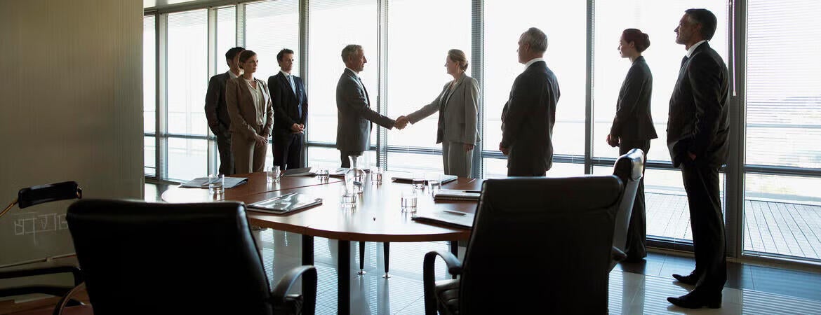 Business Professionals in a Meeting