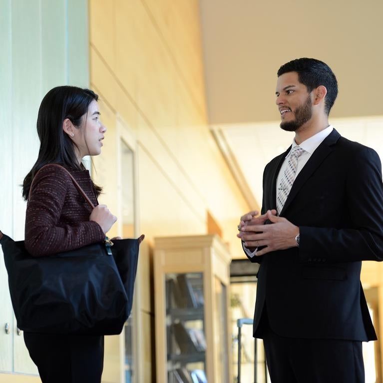 Executive Mentor Program