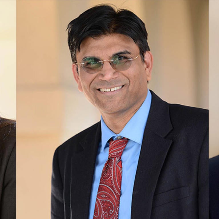 Goodman, Mishra, Turcic