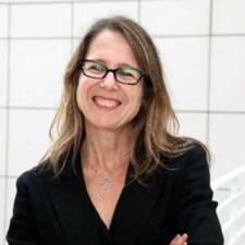 Cathy Gudis, associate professor of history&nbsp;