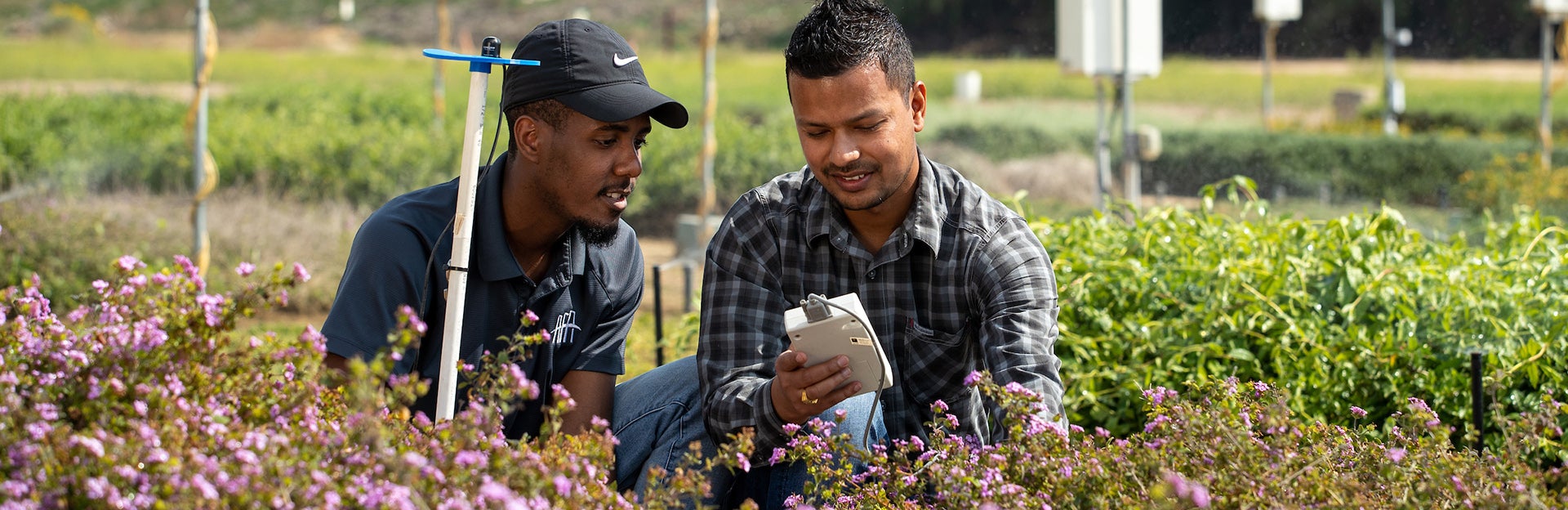 Reviewing a meter in the field