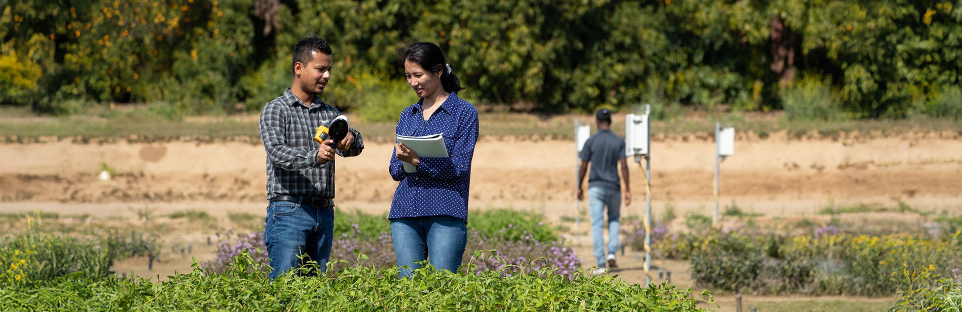 In the field with meters