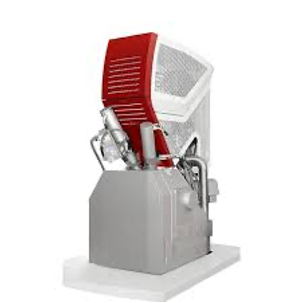 Raman Imaging and Scanning Electron Microscope (RISE)