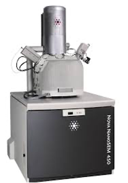 Scanning Electron Microscope (SEM)