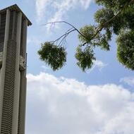 Bell Tower at UC Riverside campus
