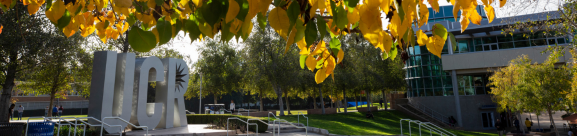 UCR Letters on the UCR campus