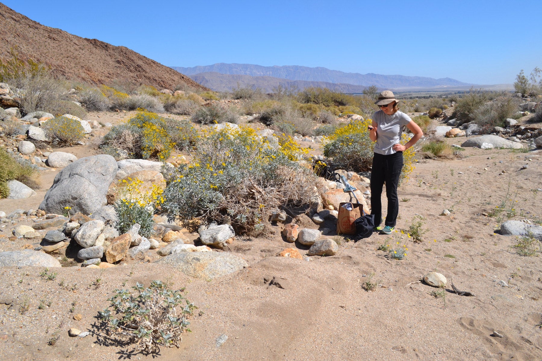 Researcher in the field