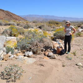 Researcher in the field