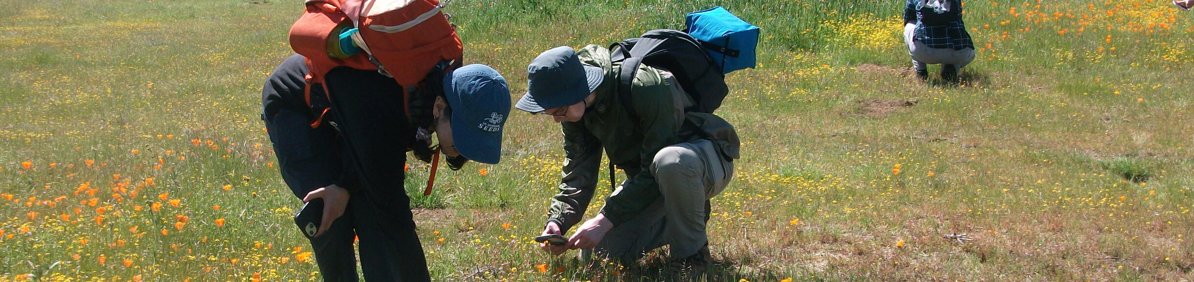 Students in conducting fieldwork