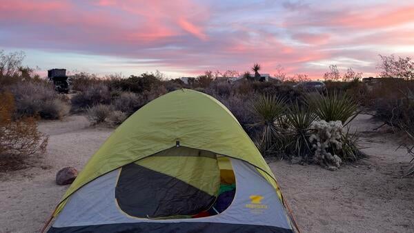 A tent sits set up with its door open and sleeping bags inside at sunset