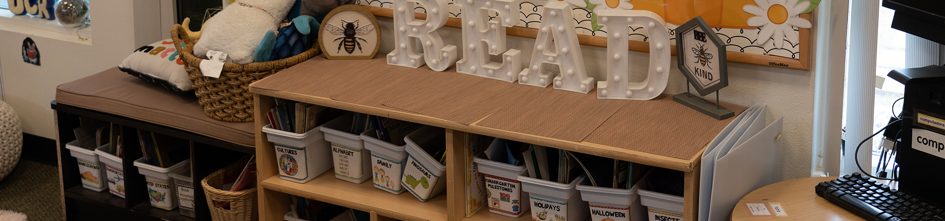 library with books organized by subject