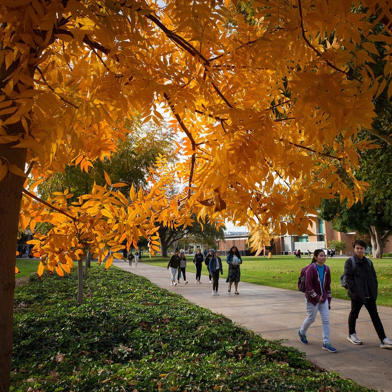 students walking under trees with fall colors (c) UCR