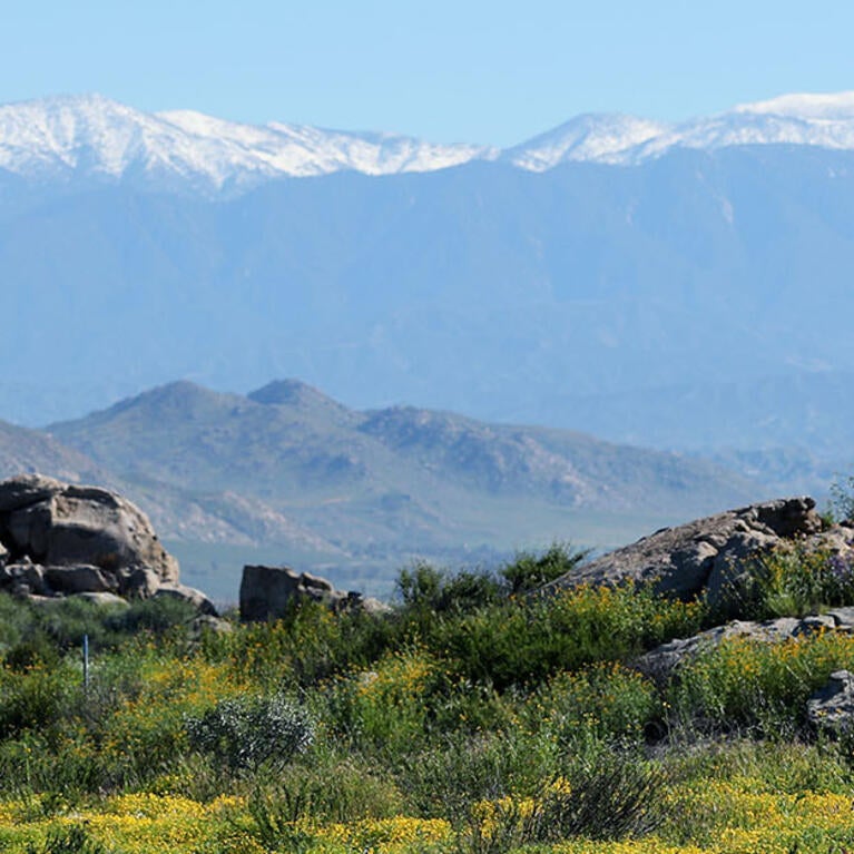 Motte Rimrock UCR Natural Reserve (c) UCR / Stan Lim