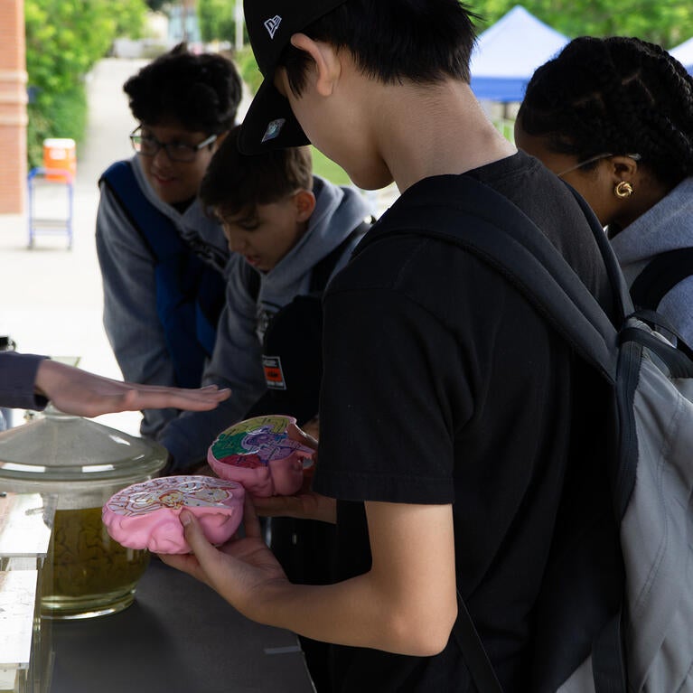 BAD 2025 Brain Booth