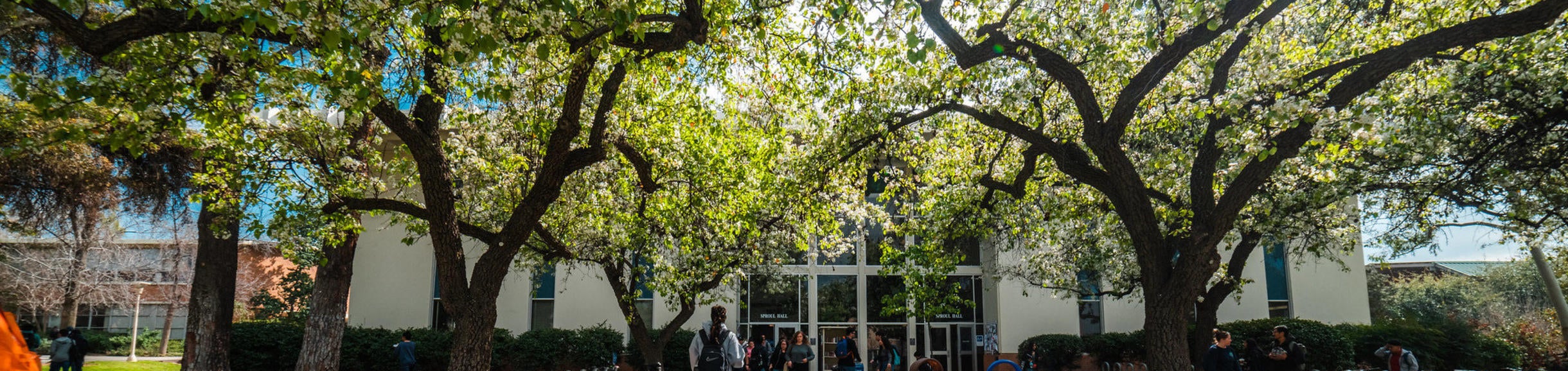 Resources for Research