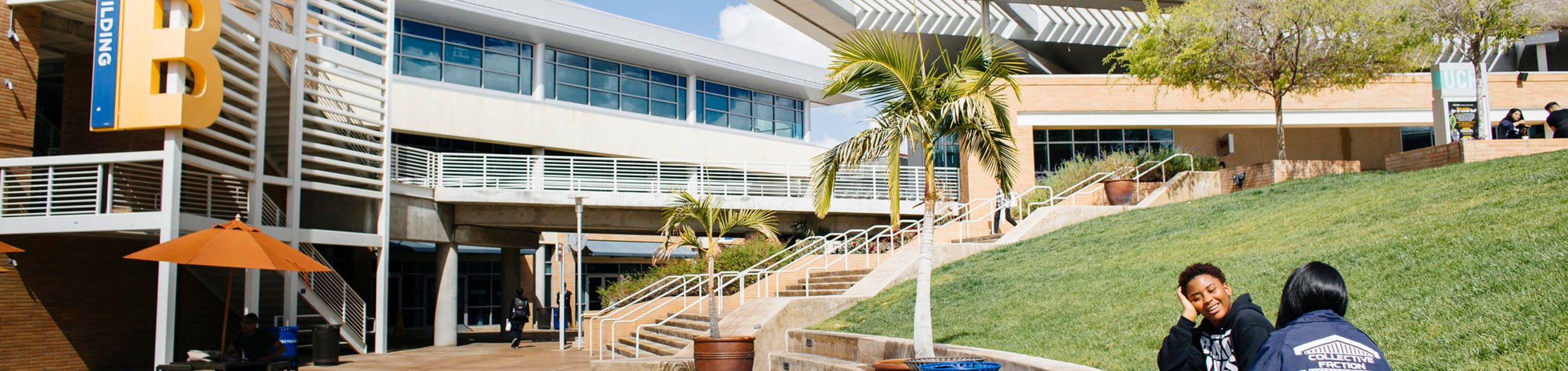 Undergraduate Majors & Minors