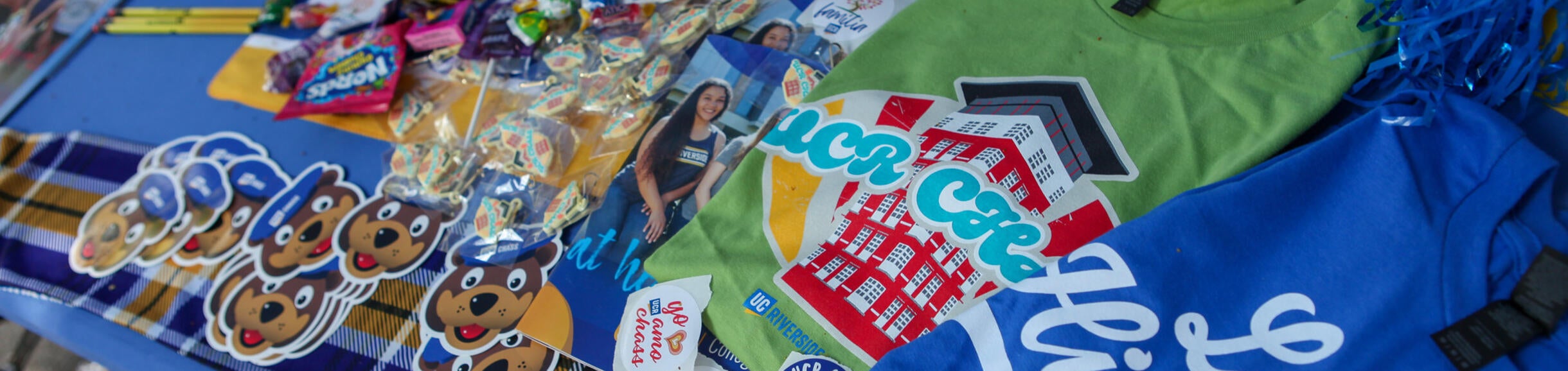 CHASS swag on table at Welcome Week