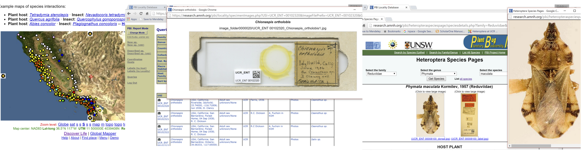specimen data (c) UCR