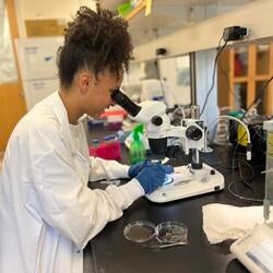 Kylah Phillips Image